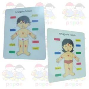 Puzzle Tubuh (Laki - Laki dan Perempuan)