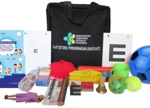 Paket SDIDTK KIT, Buku Bagan dan Buku Pedoman SDIDTK Anak